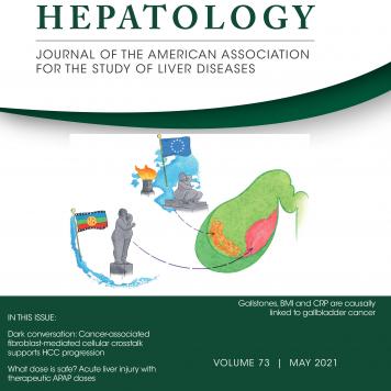 Portada de la revista Hepatology que muestra dibujos de la bandera y símbolos europeos y la bandera mapuche, la silueta de Chile y una estatua en relación con un dibujo del hígado