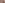 SS16
